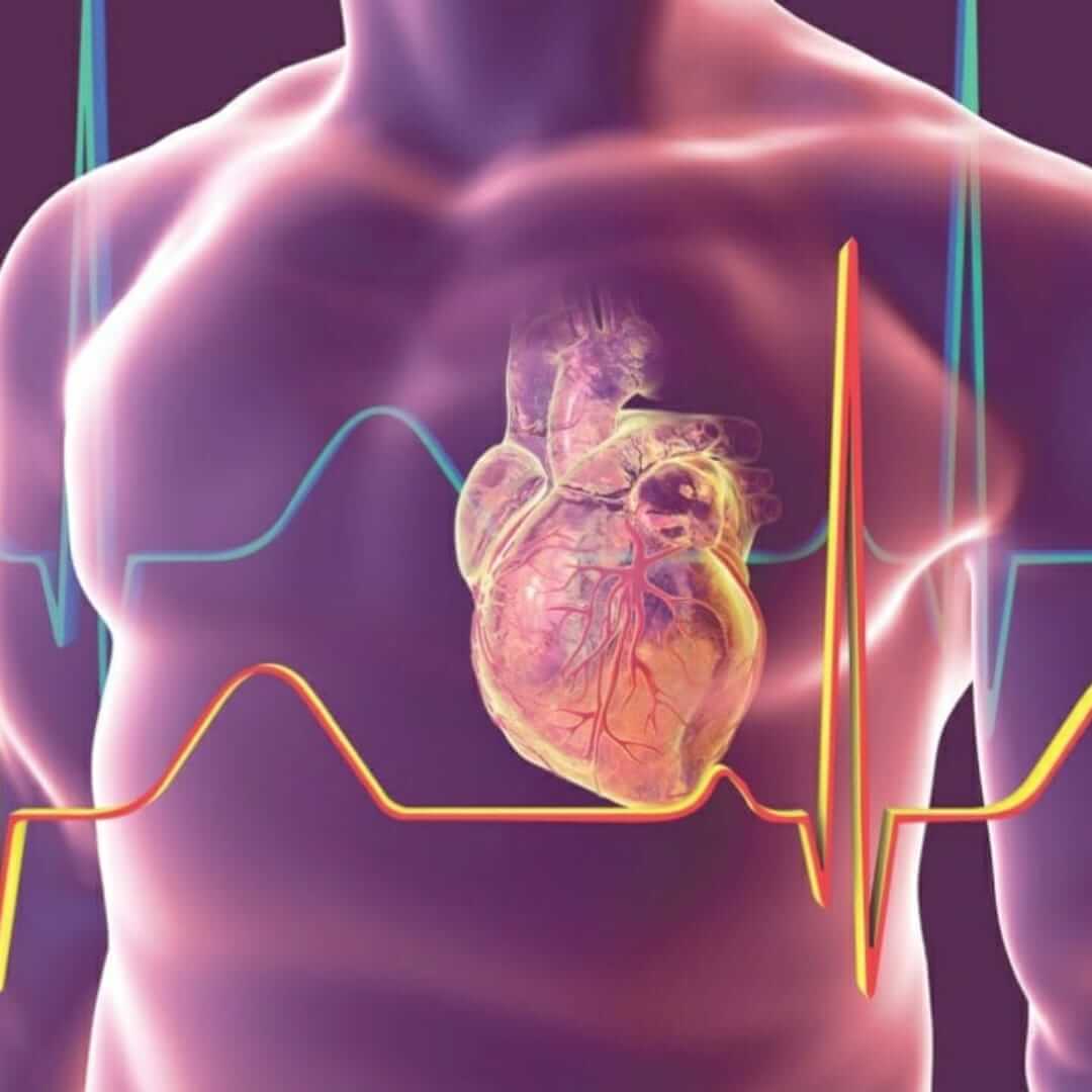 Cardiology for AIIMS DM examination